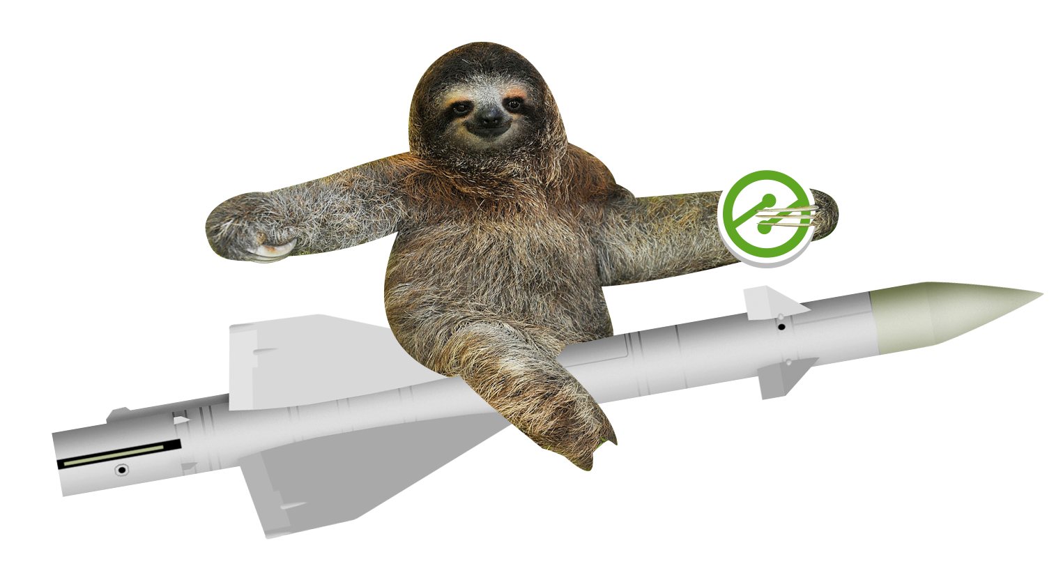 Sloth on a Rocketship